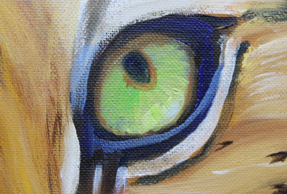 Bengal Tiger - Oil painting by Robert Spotten