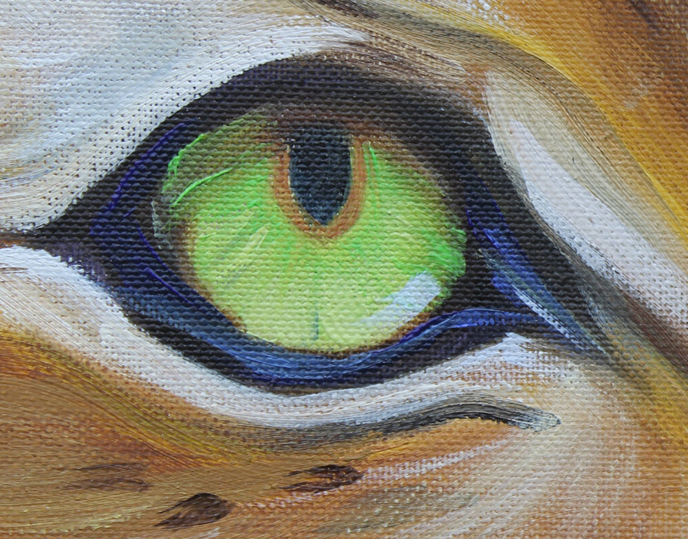 Bengal Tiger - Oil painting by Robert Spotten