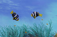 The Great Barrier Reef - Oil painting by Robert Spotten