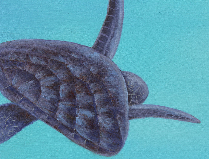 The Great Barrier Reef - Oil painting by Robert Spotten