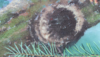 Red Squirrels in Ballycastle Forest - Gouache painting by Robert Spotten