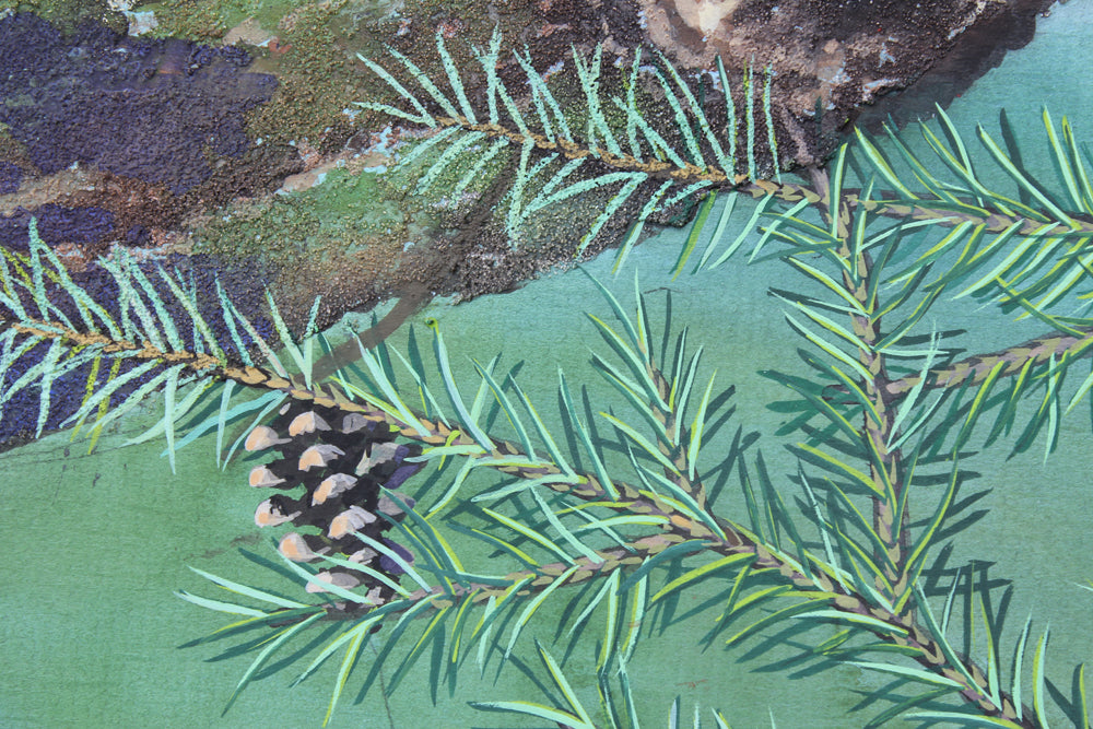 Red Squirrels in Ballycastle Forest - Gouache painting by Robert Spotten