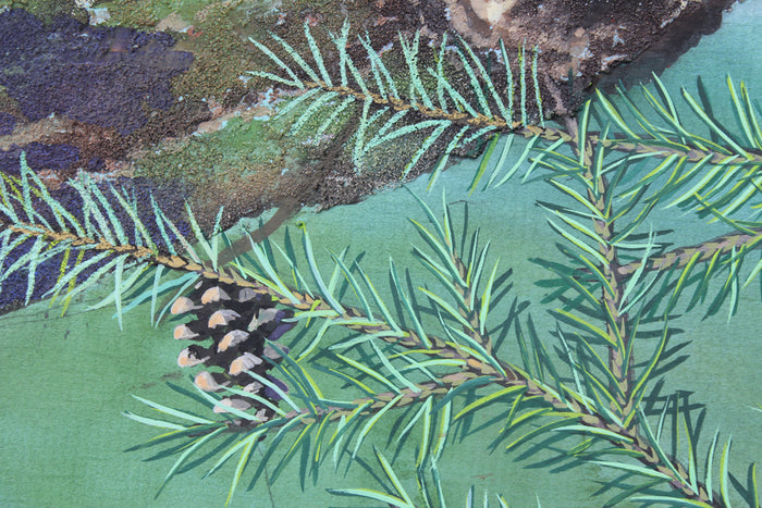 Red Squirrels in Ballycastle Forest - Gouache painting by Robert Spotten
