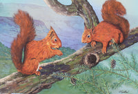 Red Squirrels in Ballycastle Forest - Gouache painting by Robert Spotten
