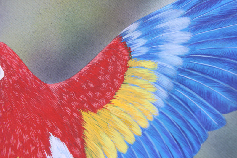 In Flight (Perroquets) - Gouache painting by Robert Spotten