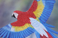 In Flight (Perroquets) - Gouache painting by Robert Spotten