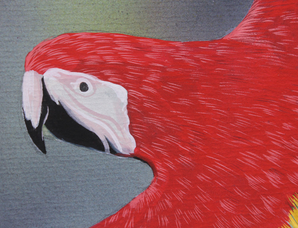 In Flight (Perroquets) - Gouache painting by Robert Spotten