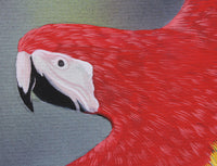 In Flight (Perroquets) - Gouache painting by Robert Spotten