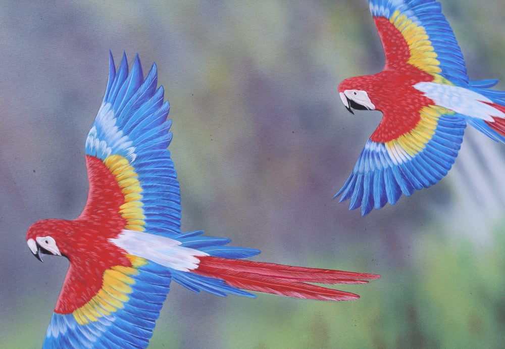 In Flight (Perroquets) - Gouache painting by Robert Spotten