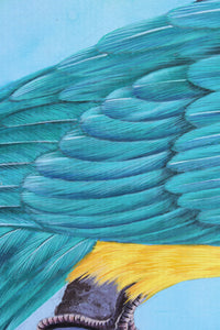 Blue Throated Macaw - Gouache and Watercolour painting by Robert Spotten