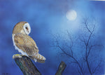 Barn Owl - Gouache painting by Robert Spotten