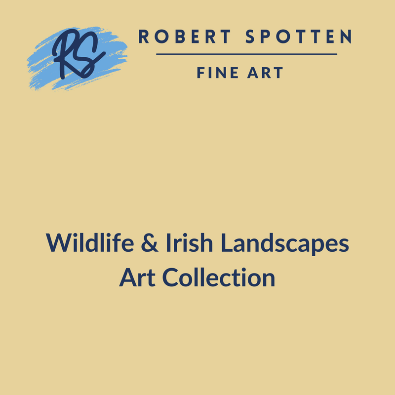 Robert Spotten - Wildlife Gouache paintings, Oil and Watercolour Irish landscapes