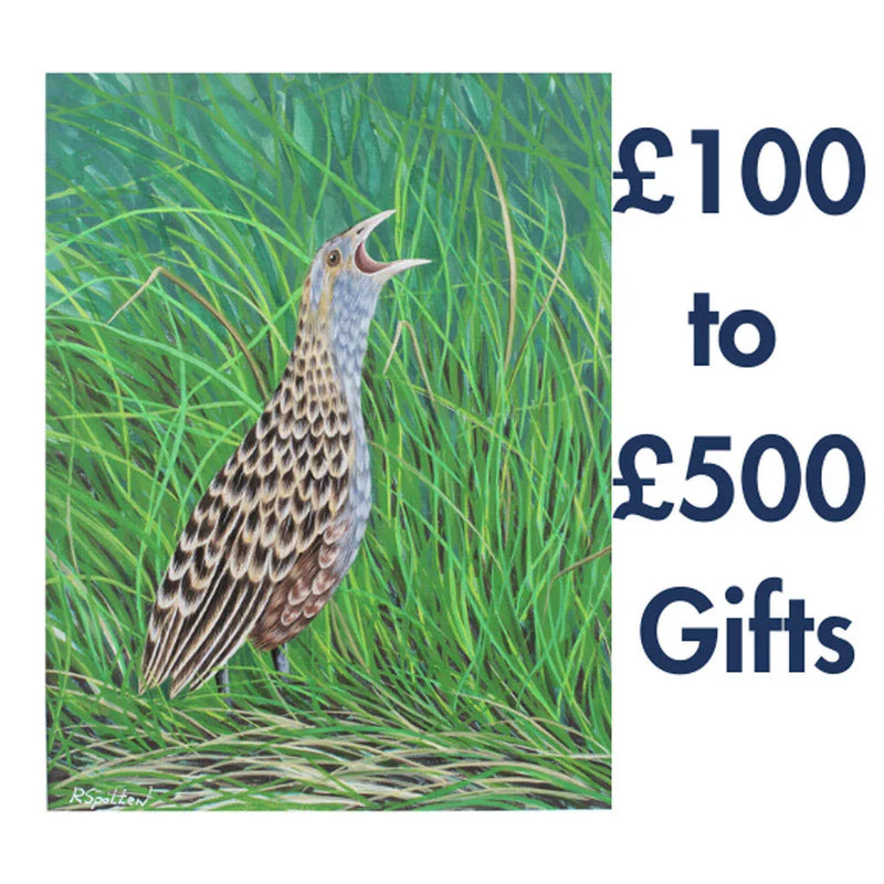 £100 to £500 Gifts - The Puffin Gallery