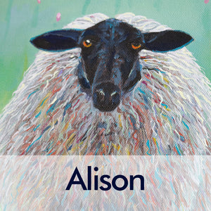 Oil painting of a sheep with multi-coloured fleece painted by Ali Jess - landscape and wildlife artist based in Northern Ireland