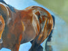 Aristocrat - Horse portrait by JC B