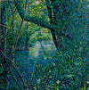 In the Thick of It - Ravarnet River by Alison