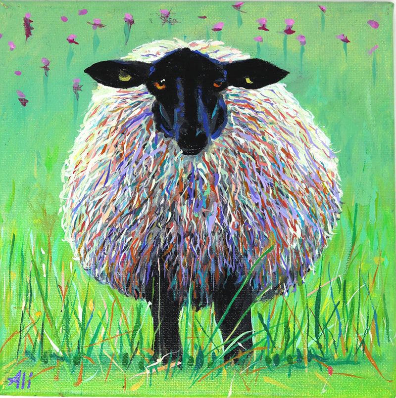 Alison - Sheep - Looking at Ewe