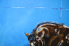 Tension- Horse portrait painting by James C B