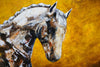 Walk Softly - Horse portrait painting by James C B