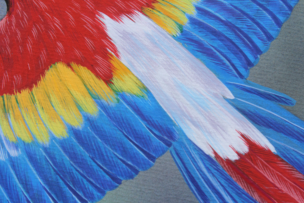In Flight (Perroquets) - Gouache painting by Robert Spotten
