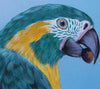 Blue Throated Macaw - Gouache and Watercolour painting by Robert Spotten
