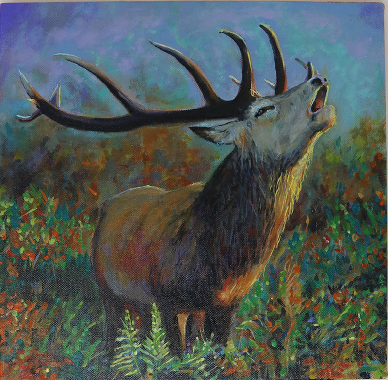 Stag by Alison